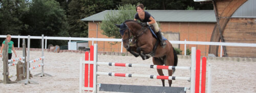 Reitplatzsand